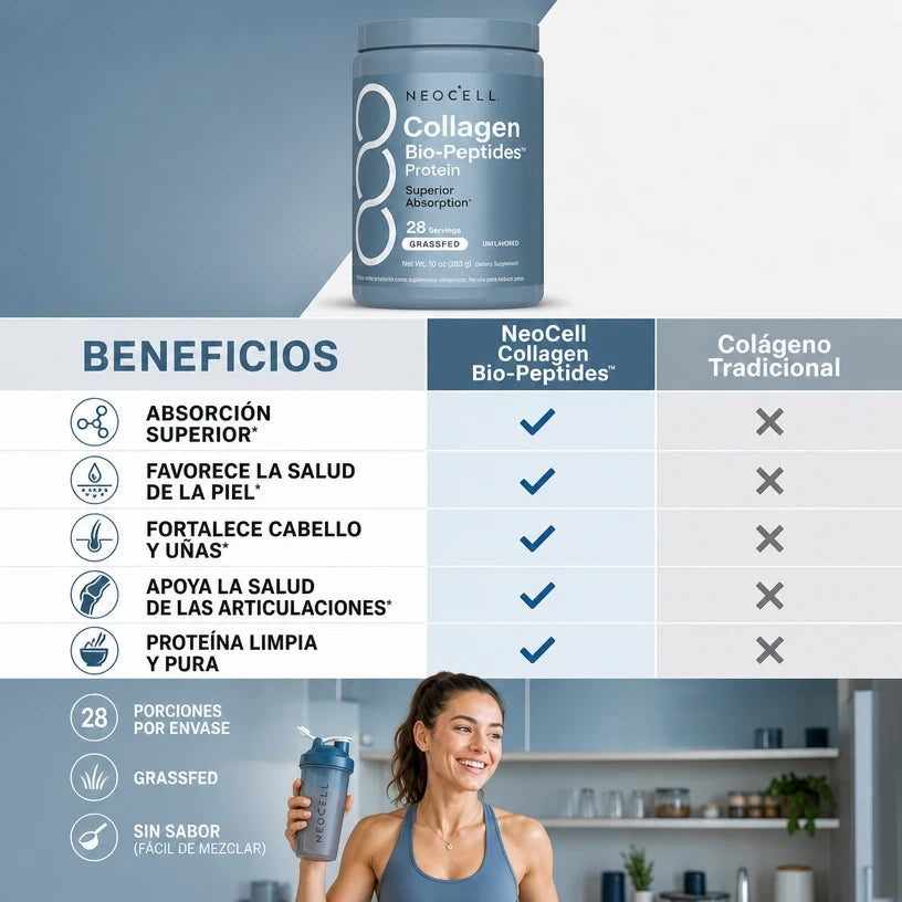 Encabezado