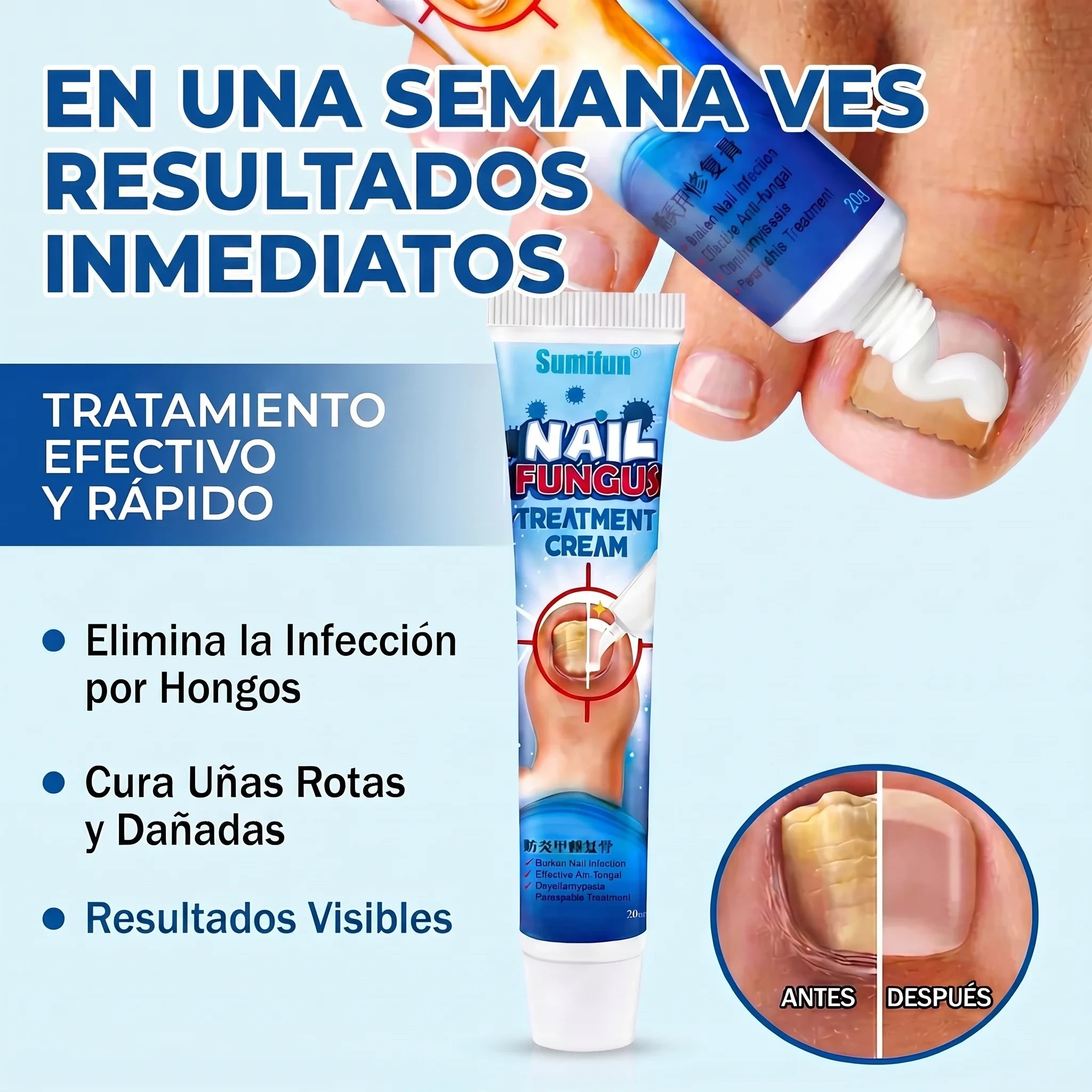 Encabezado