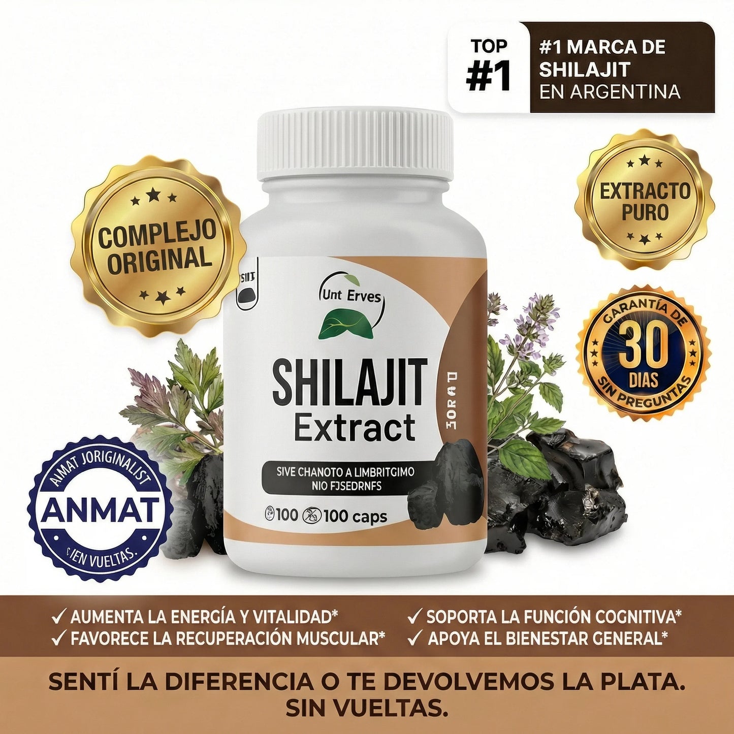 Sin energía y sin ganas? Recuperá tu vitalidad